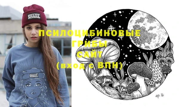 МДПВ Заволжск