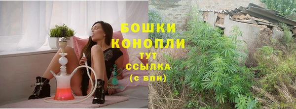 сатива Нязепетровск