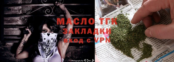 прущие грибы Няндома